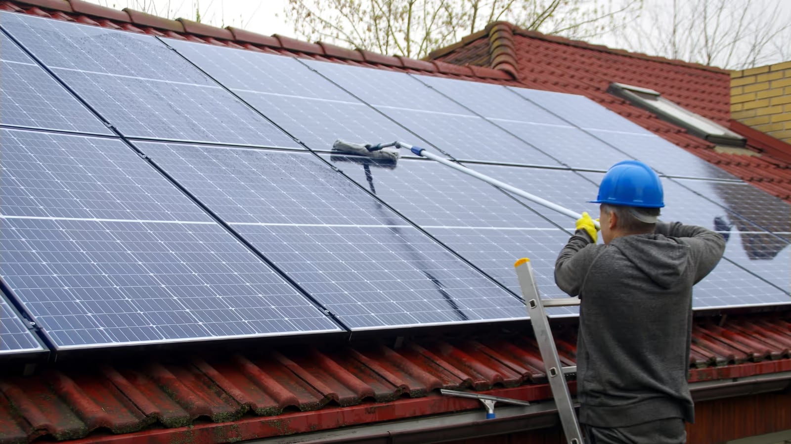 Solar panel Cleaning