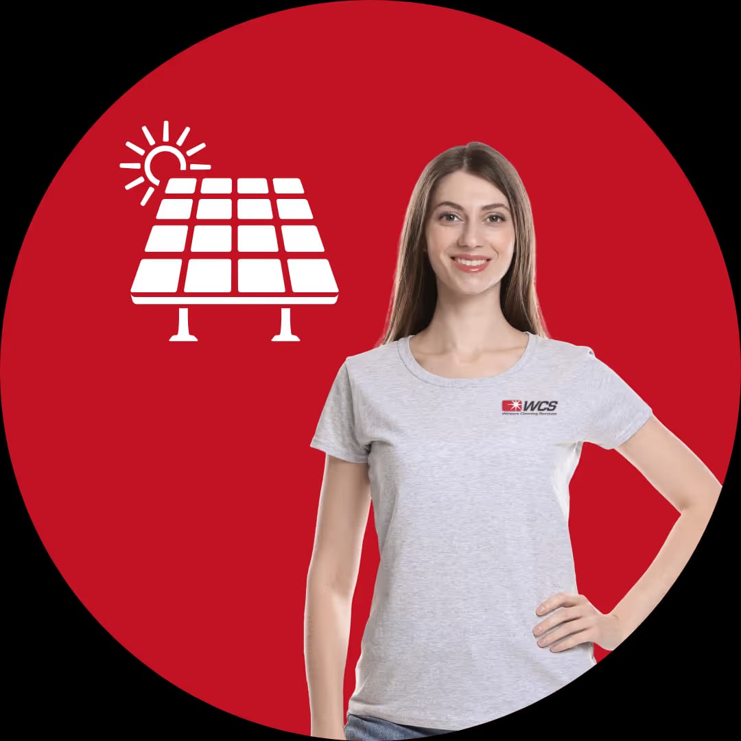 Solar Panel Cleaner Company