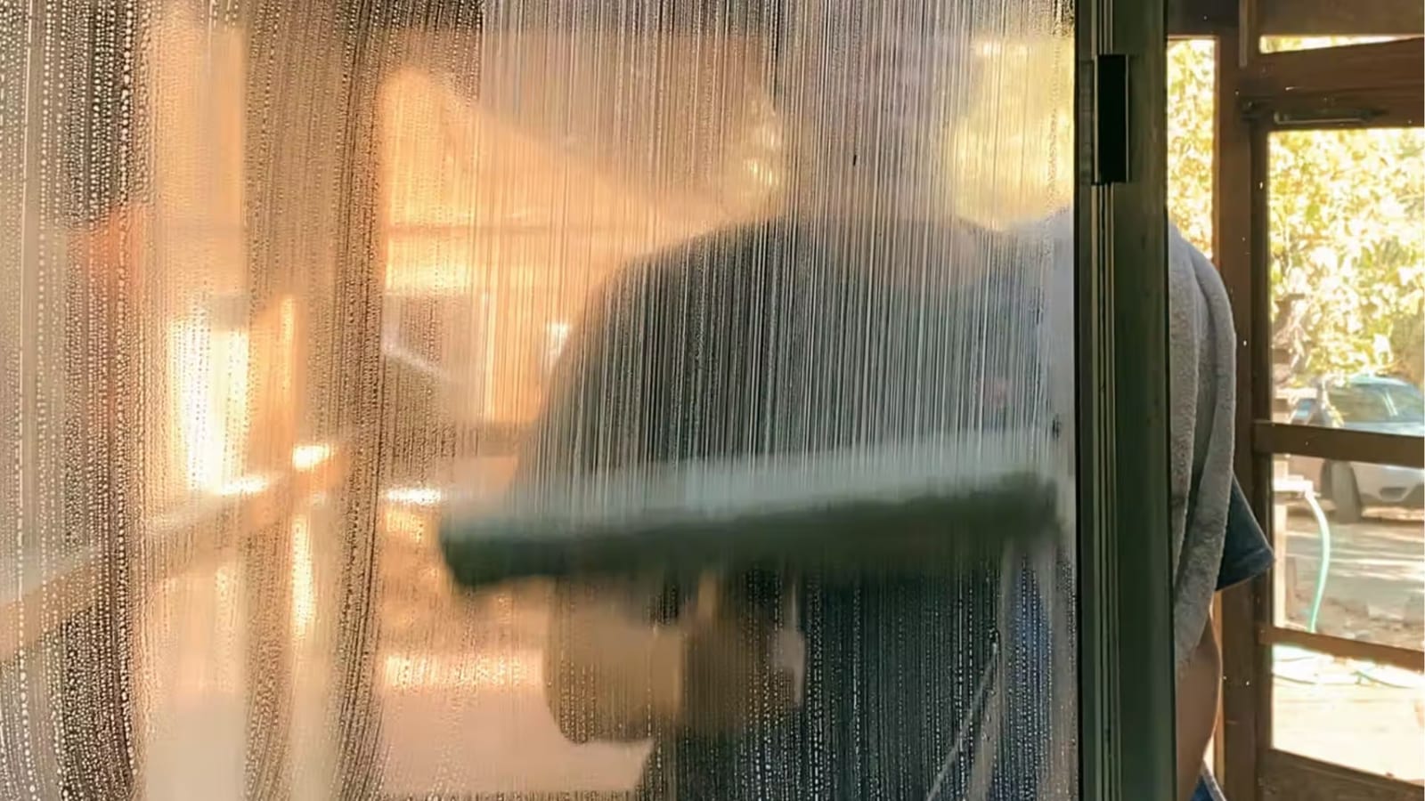 Window Cleaning Services